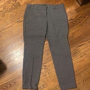 Express Columnist work pant